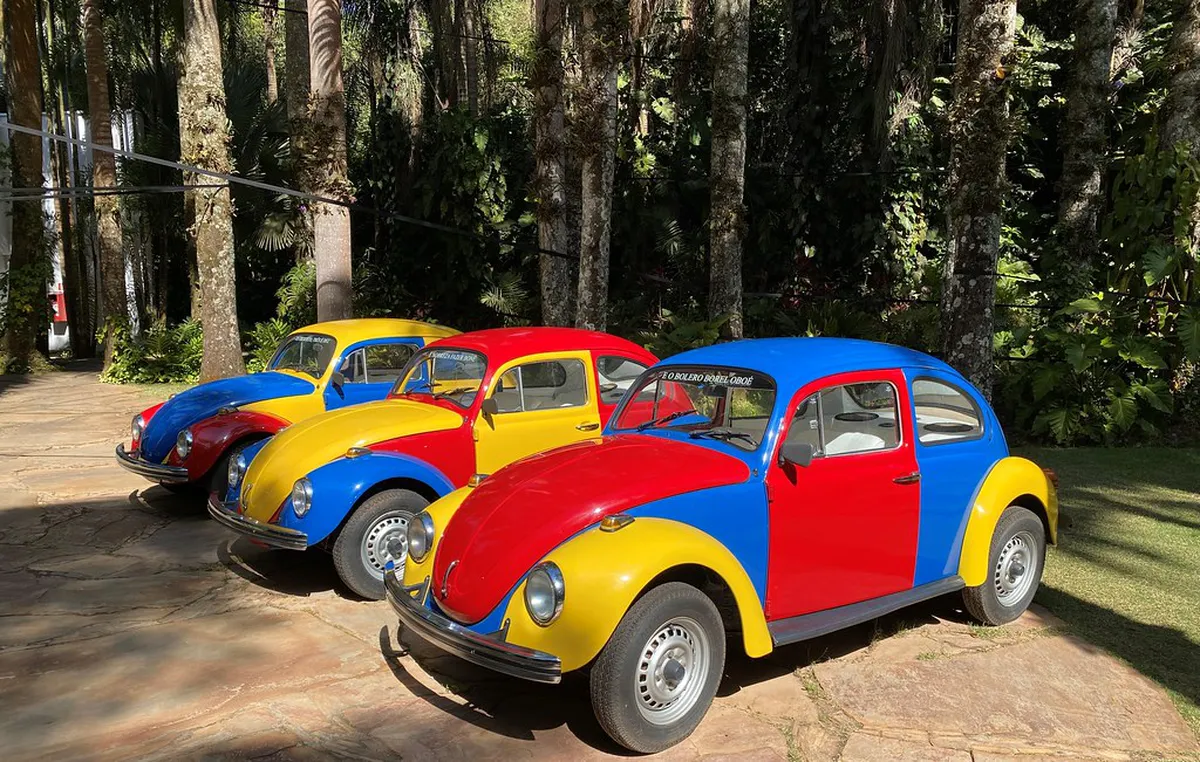 Master Winter Transportation in Beppu: 2026 Guide