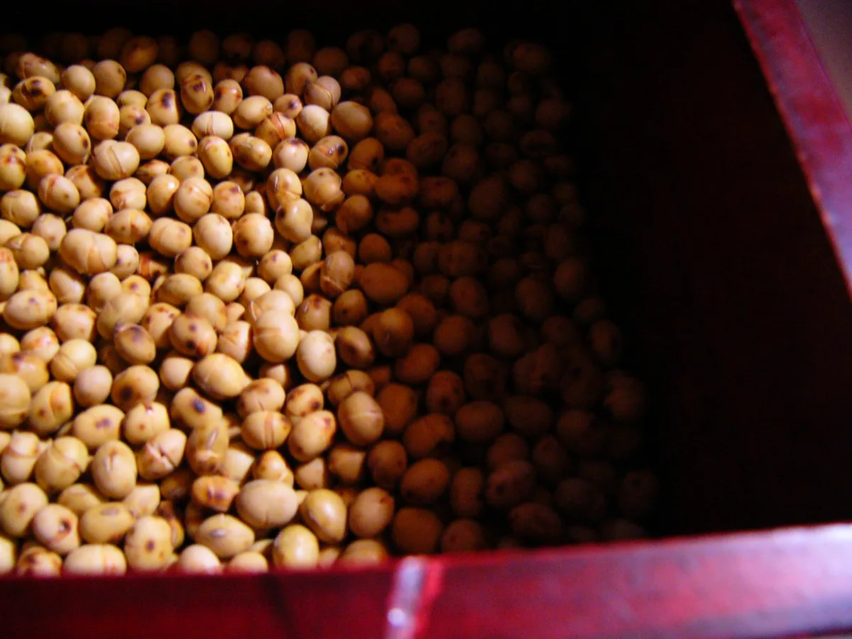 Hiroshima Setsubun Event Schedule February 2026