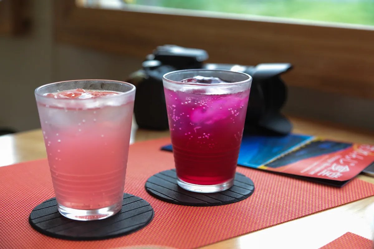 Best Kagoshima Cocktail Bars With Winter Menus