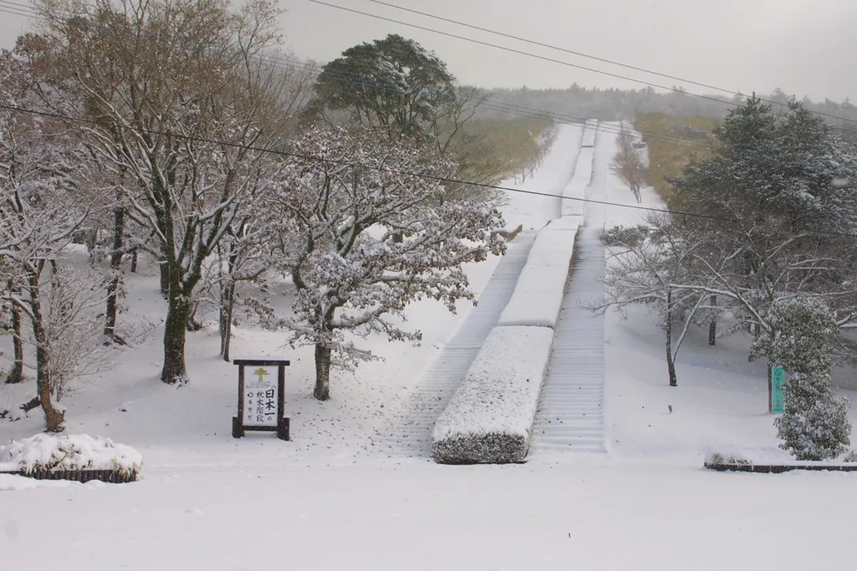 Kagoshima Winter Weather Tips: 2026 Travel Guide