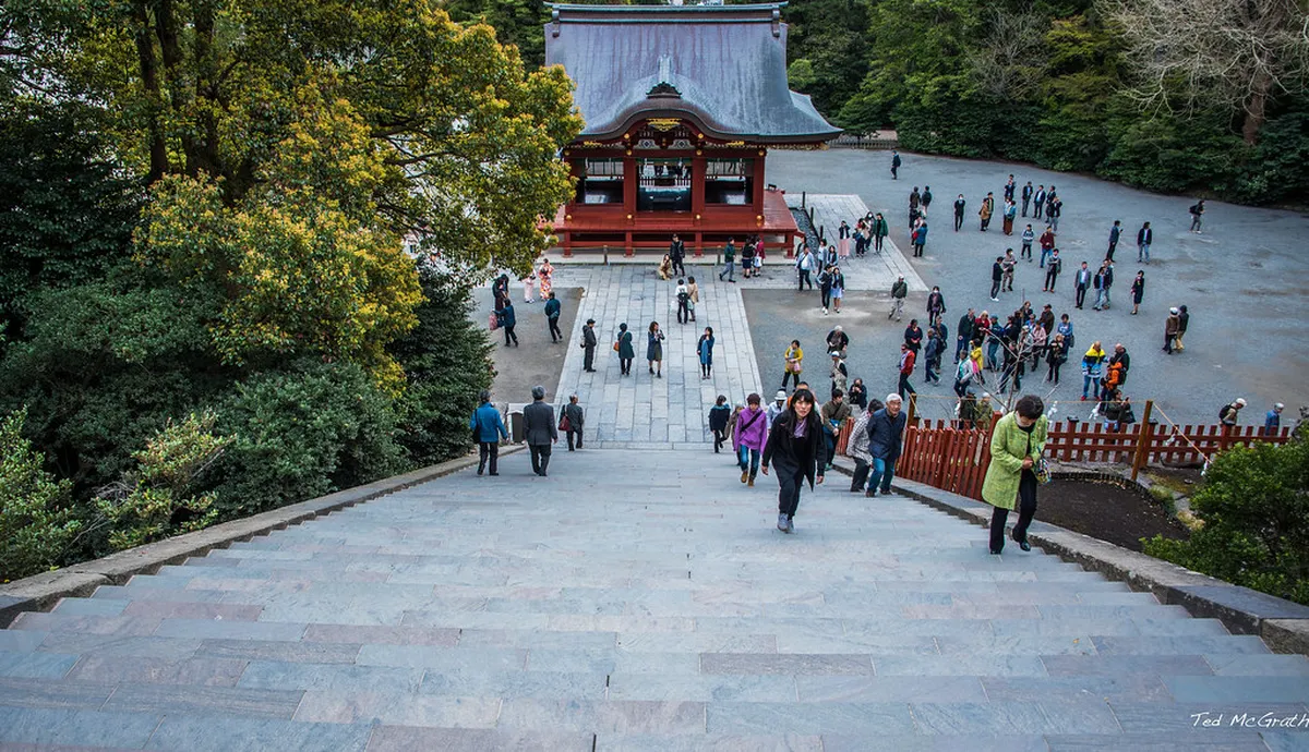 Kamakura New Year Shrine Visits: 2026 Guide