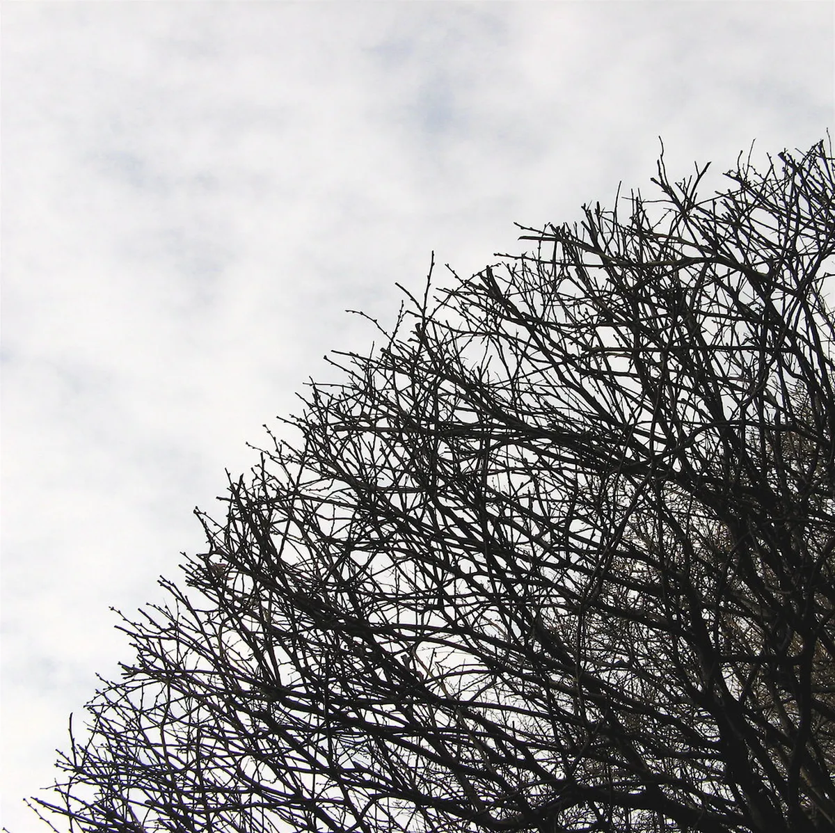 One Day Kamakura Winter Itinerary: 2026 Guide