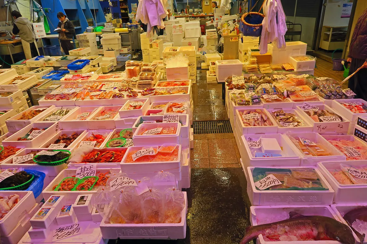 Omicho Market Winter Seafood Guide: 2026 Tips