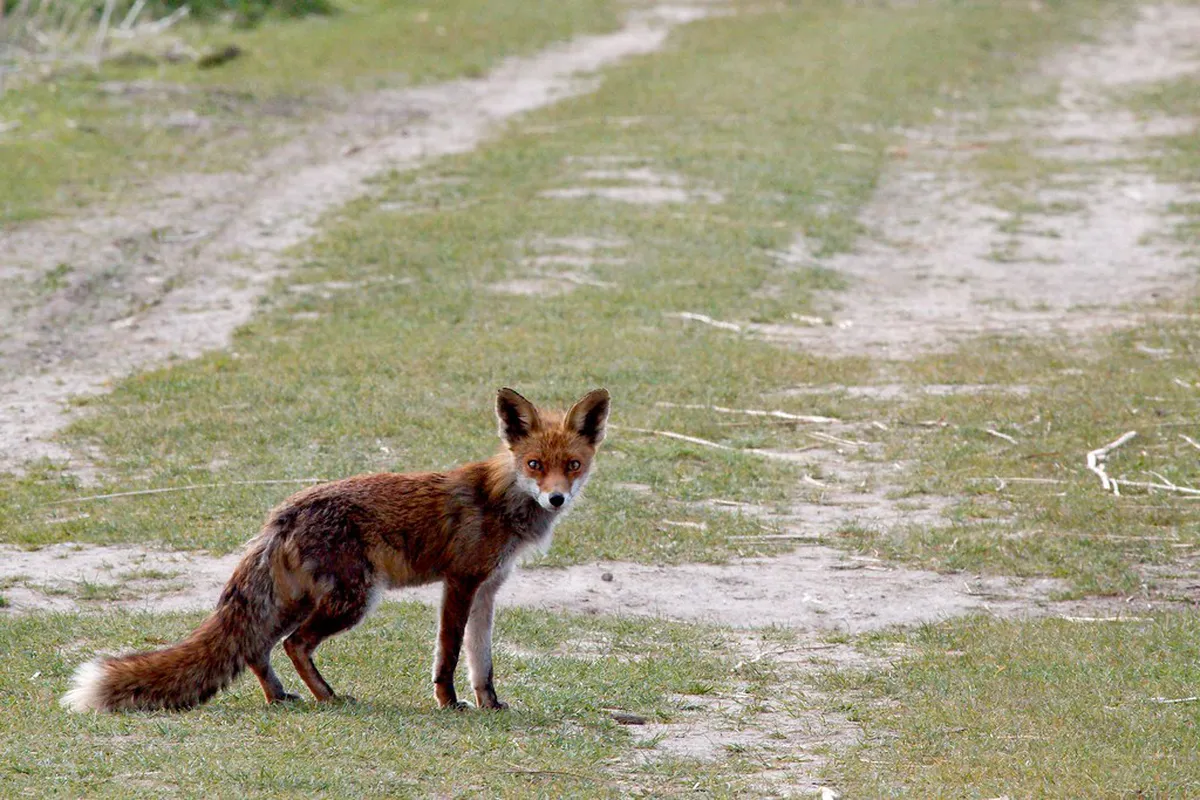 Where to Eat Snow Crab in Kanazawa? Top 2026 Guide