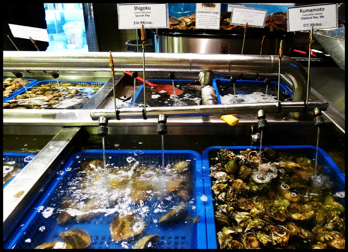 Best Winter Food in Kumamoto: 2026 Dining Guide