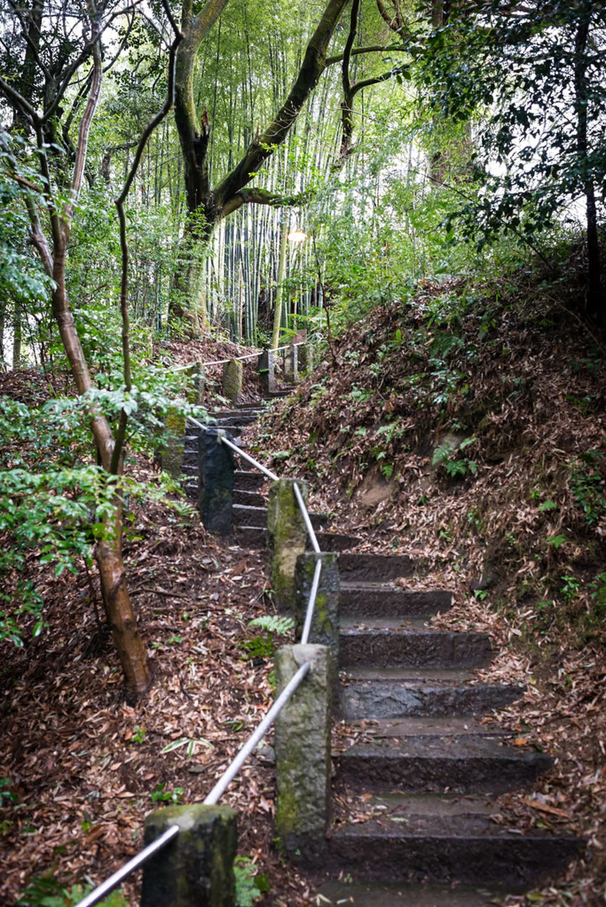 Kurokawa Onsen Bamboo Lanterns 2026 Guide