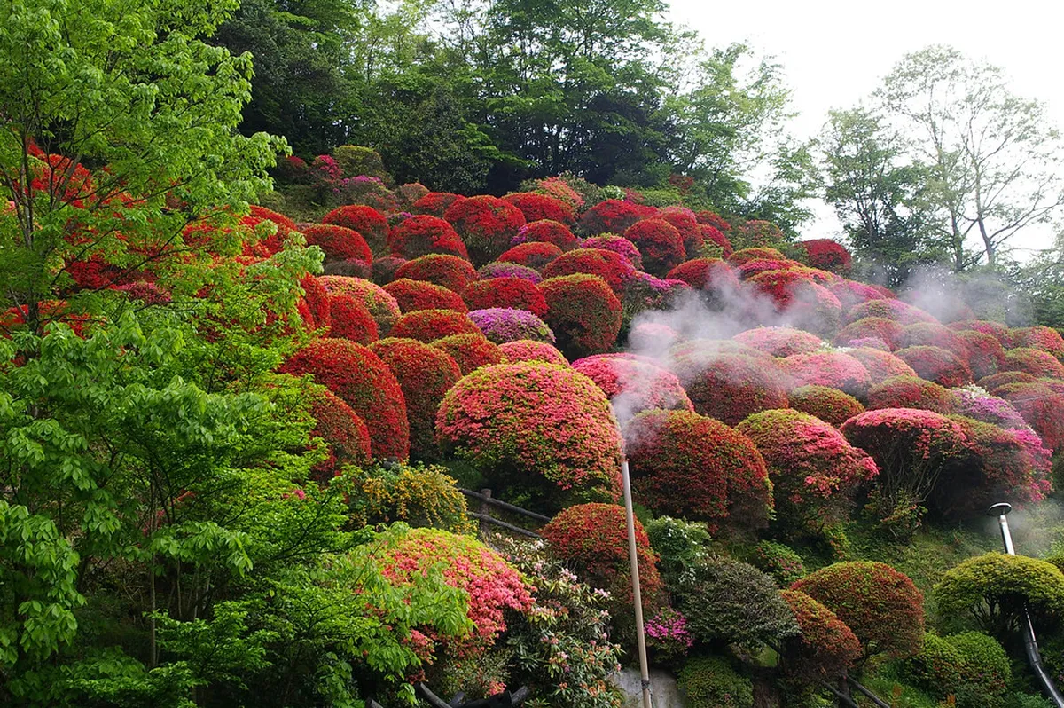 Kurokawa Onsen Winter Shuttle Bus Schedule 2026