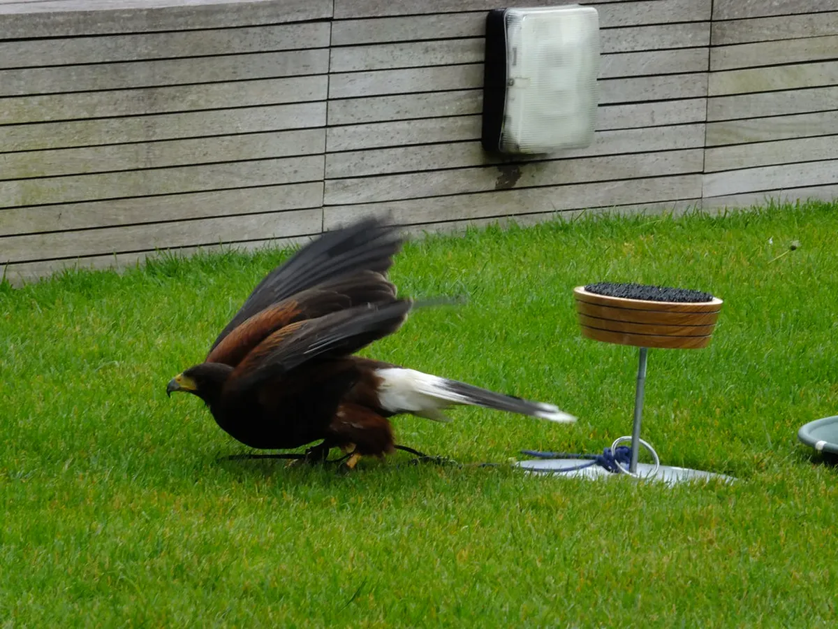 Best Riverside Dining in Arashiyama During Winter