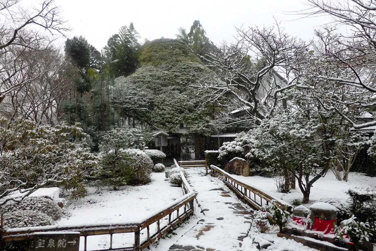 Best Time for Snow Photos in Kyoto