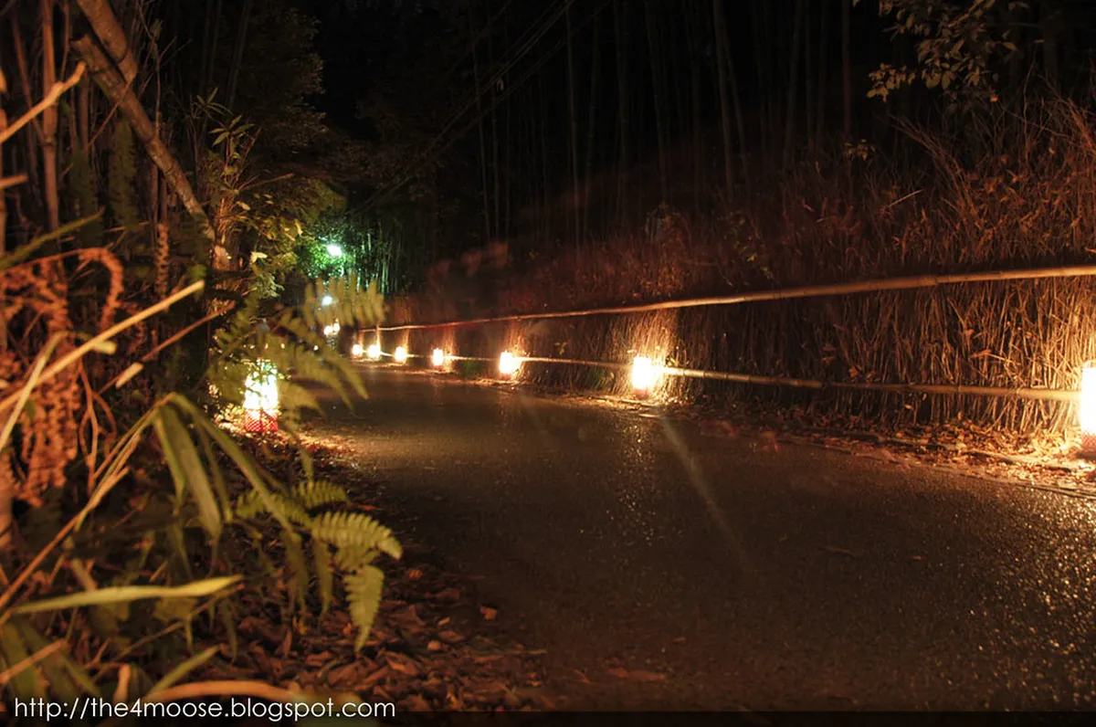 Is Arashiyama Hanatouro Happening in 2026?