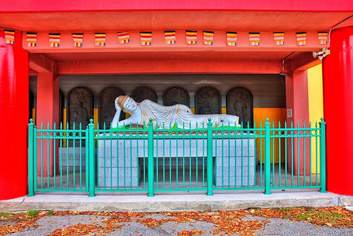 Free Walking Tours of Naha in Winter Months