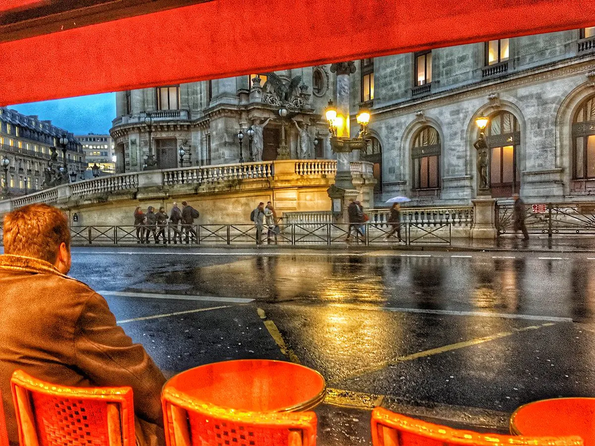 Night Bus Tours for Naha Winter Illuminations