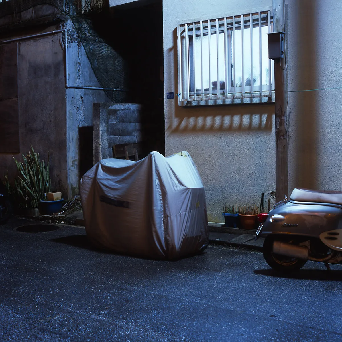 Taking photos of Naha winter illuminations at night