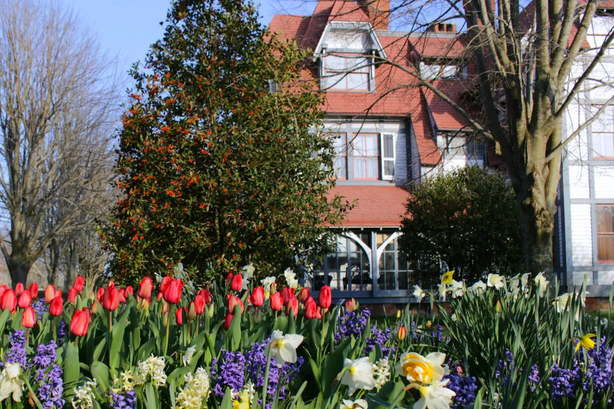 Whale Watching Season Dates in Naha 2026 Guide