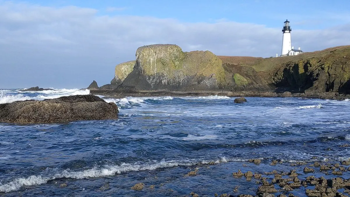 Winter Whale Watching Tours Naha: 2026 Guide