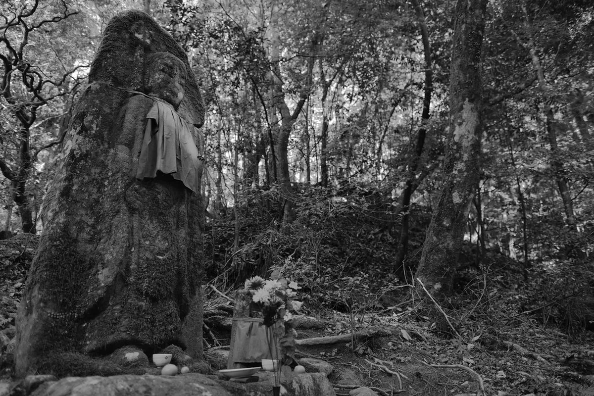 Nara Park Winter Illumination Opening Hours 2026