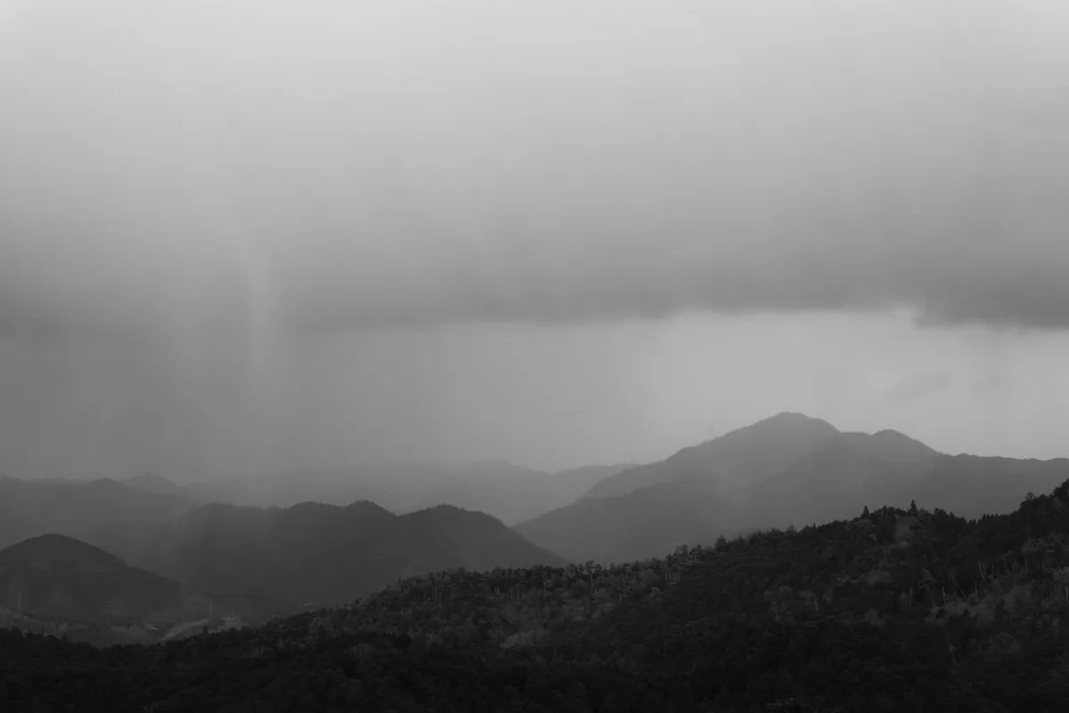 Perfect Nara Winter Itinerary 3 Days for 2026