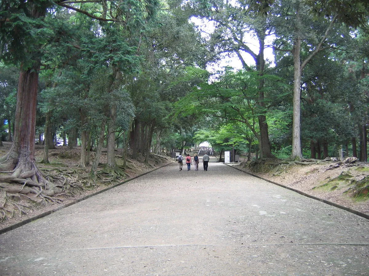 Walking from Nara Park to Kasuga Taisha Guide