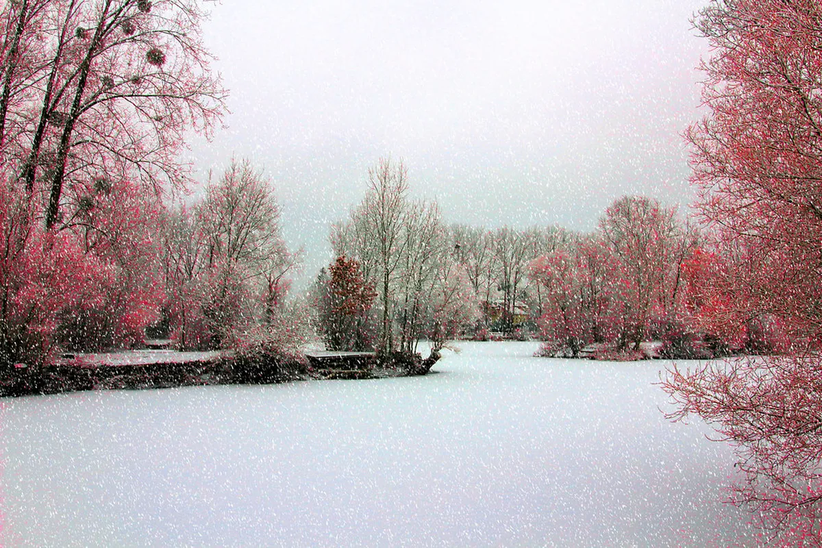 Lake Chuzenji Winter Boat Cruise Schedule 2026