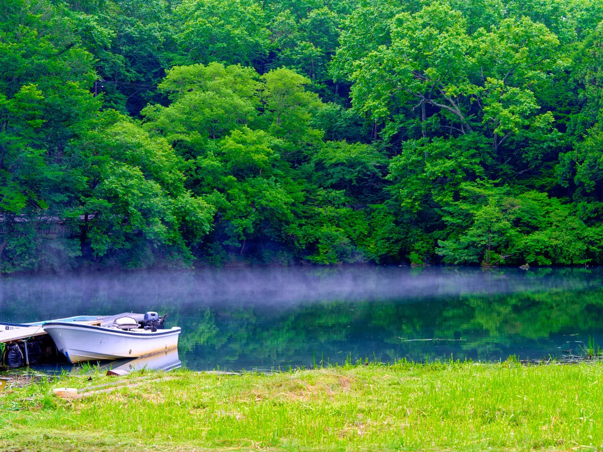 Okunikkō Snowshoeing and Hiking Guide: Winter 2026