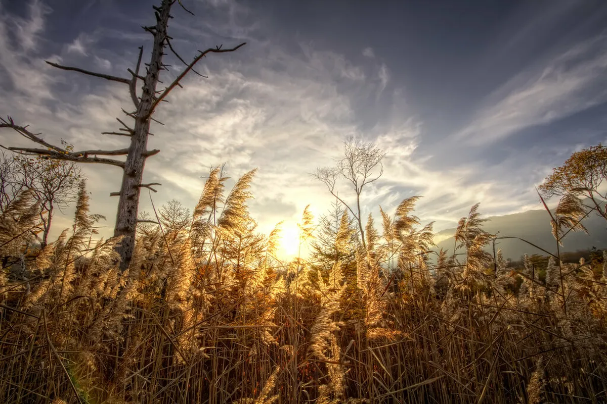 Senjogahara Marshland Winter Hiking Guide and Map