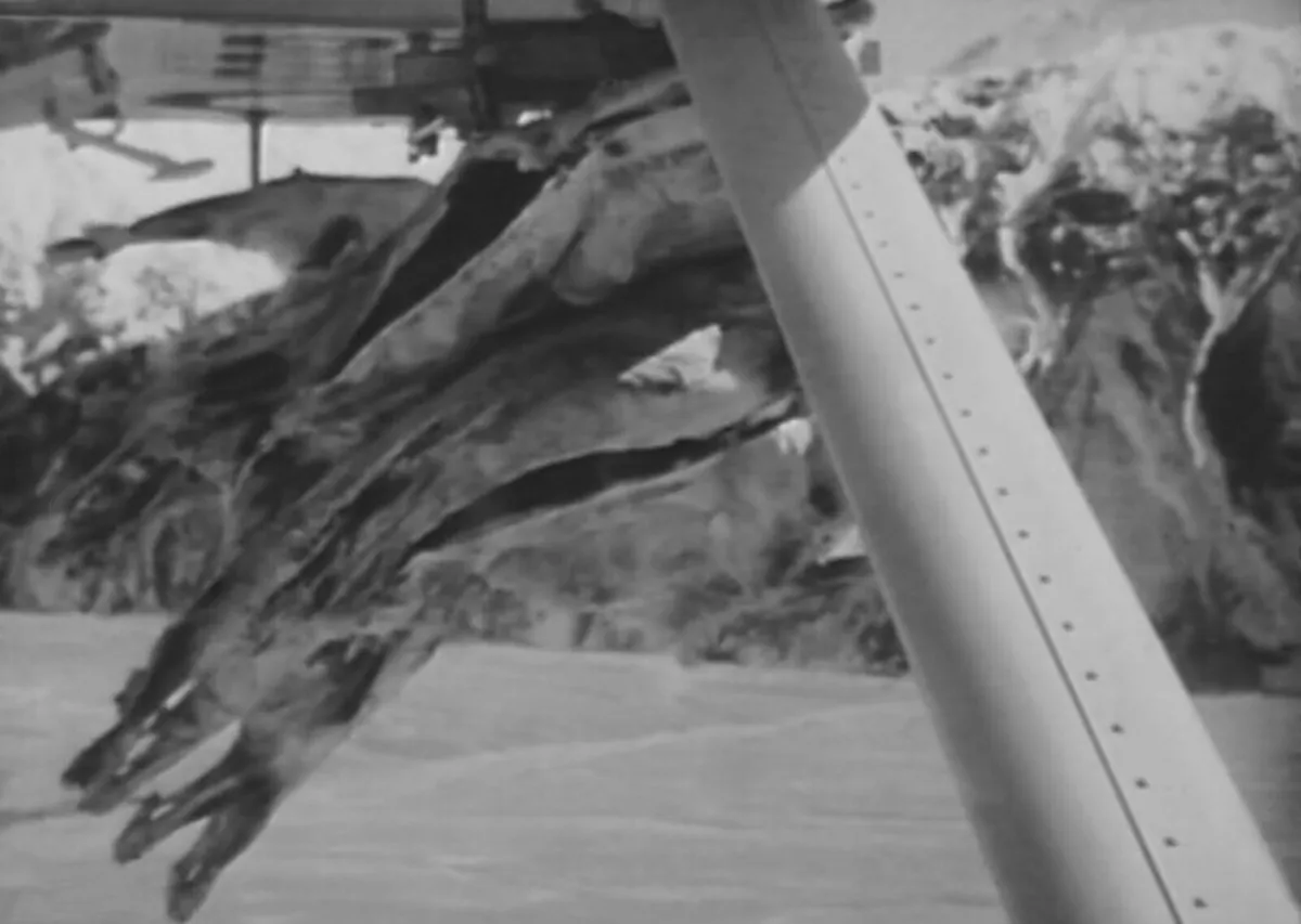 Which are the Best Night Skiing Runs in Niseko?