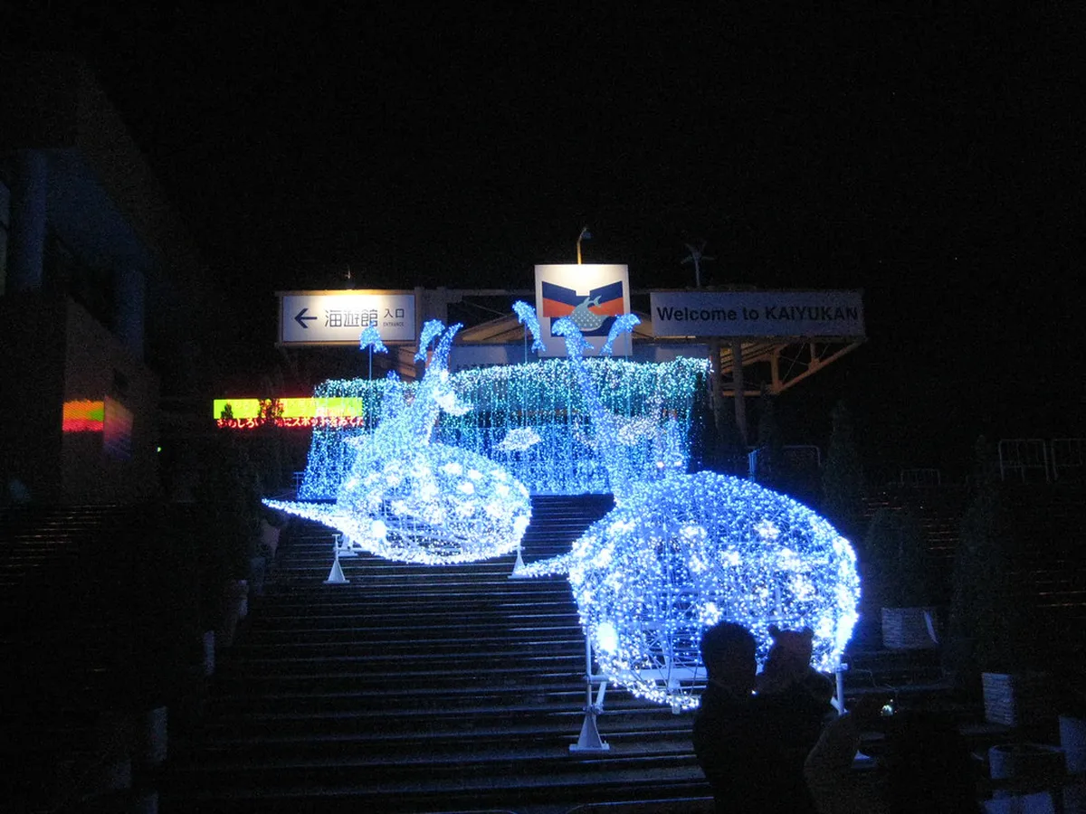 Best Time to Visit Osaka Castle Lights