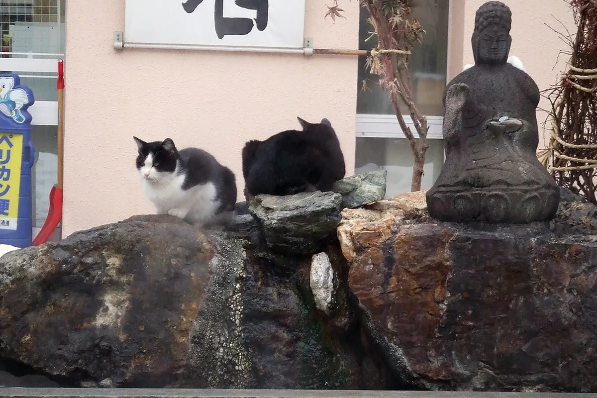 How to Get to Jozankei From Sapporo: 2026 Guide