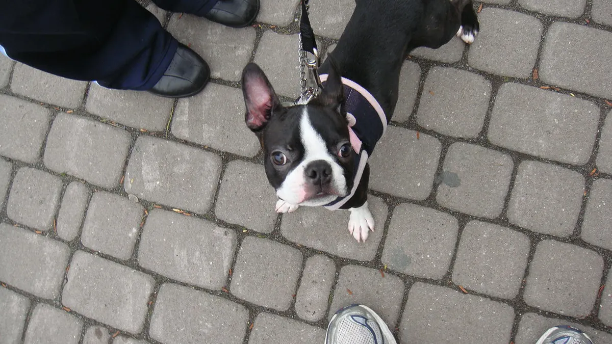 Planning Sapporo Winter Trip 2026: The Ultimate Guide