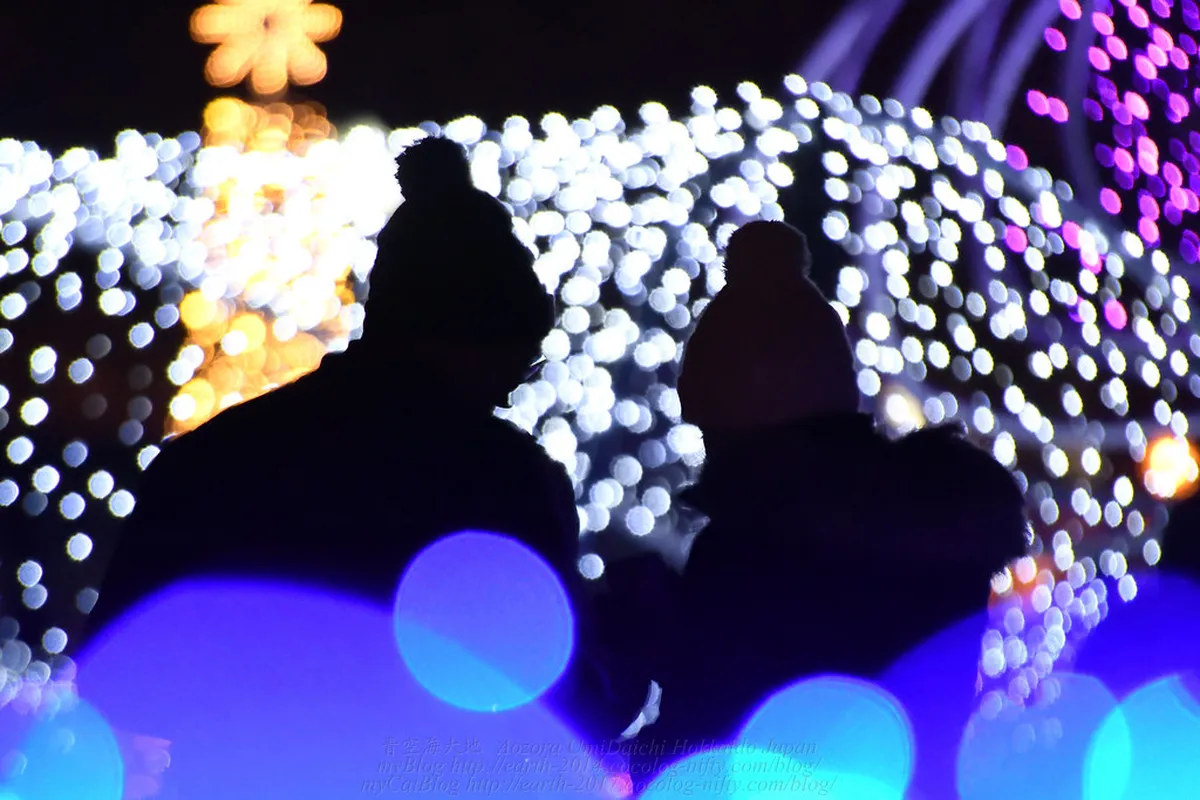 Sapporo White Illumination 2026 Schedule & Guide