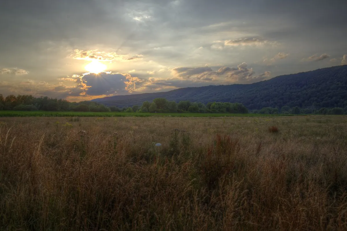 Best Evening Activities in Takayama Winter 2026