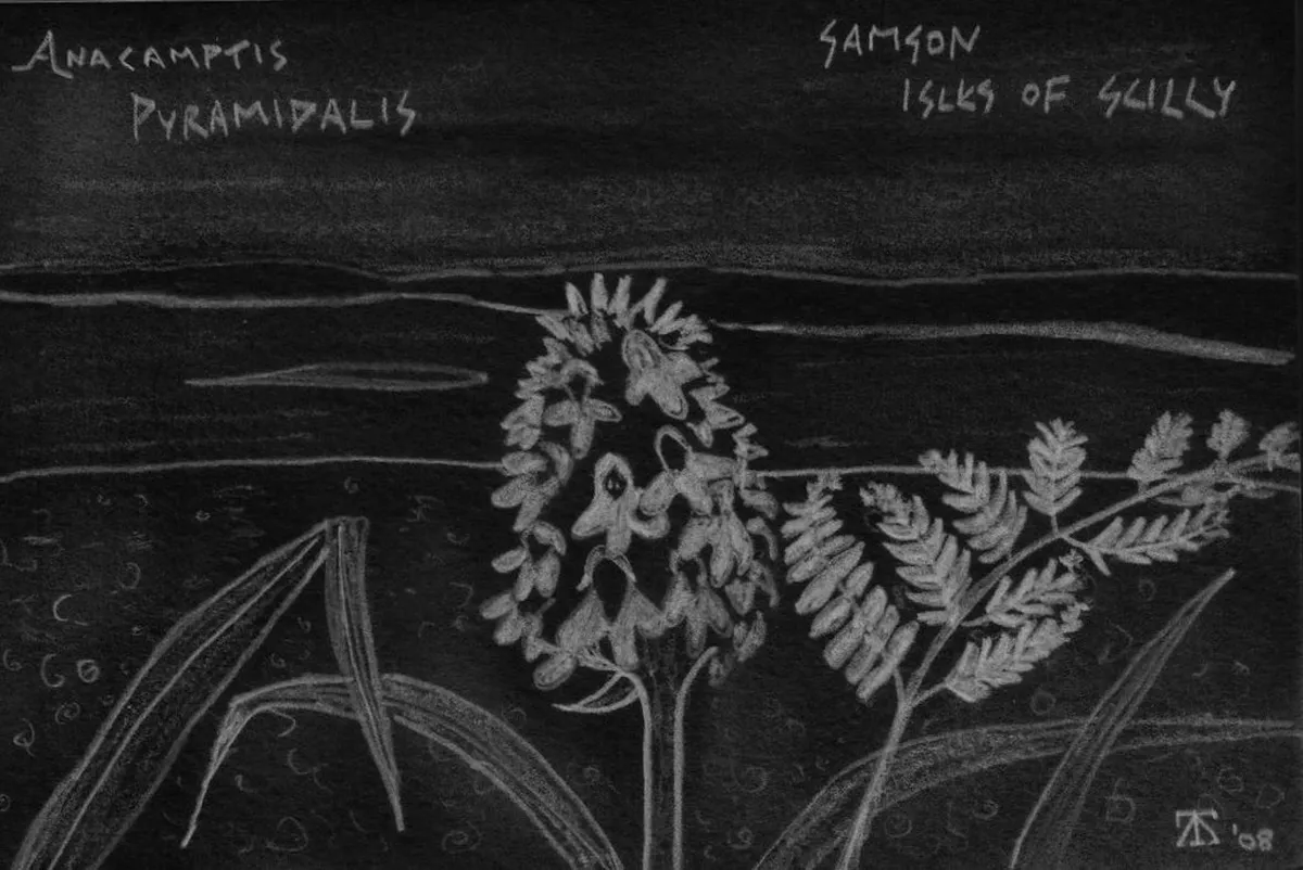 History of Sake Brewing in Takayama Winter Guide