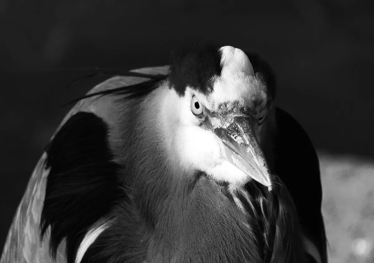 Best Winter Food Markets Tokyo: A 2026 Guide