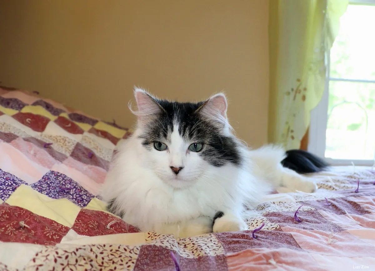 7 Warm Winter Snacks to Try in Tokyo 2026