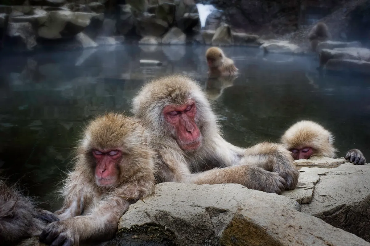 Best Hot Spring Onsen Day Trips from Yokohama