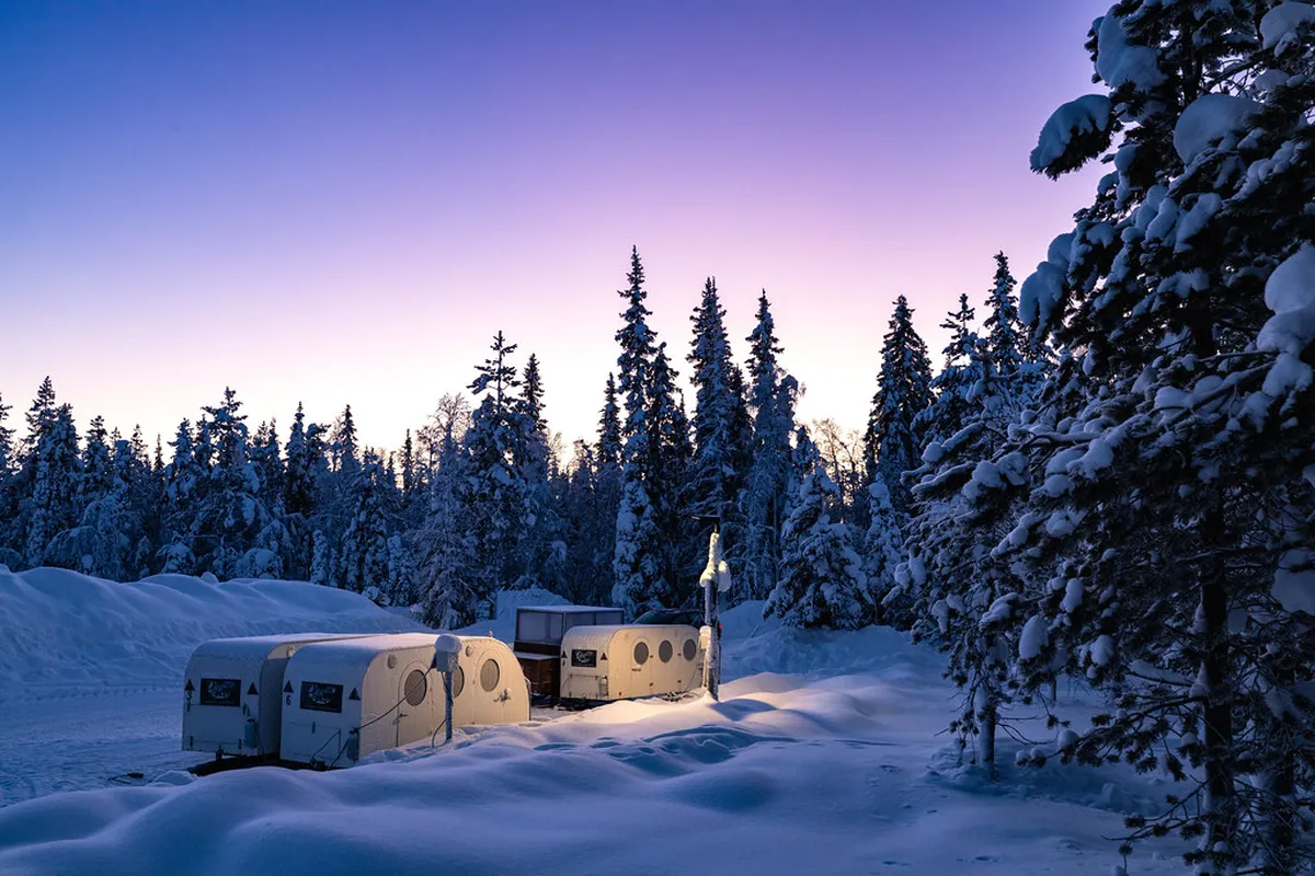 Best Guided Northern Lights tours in Bodø 2026