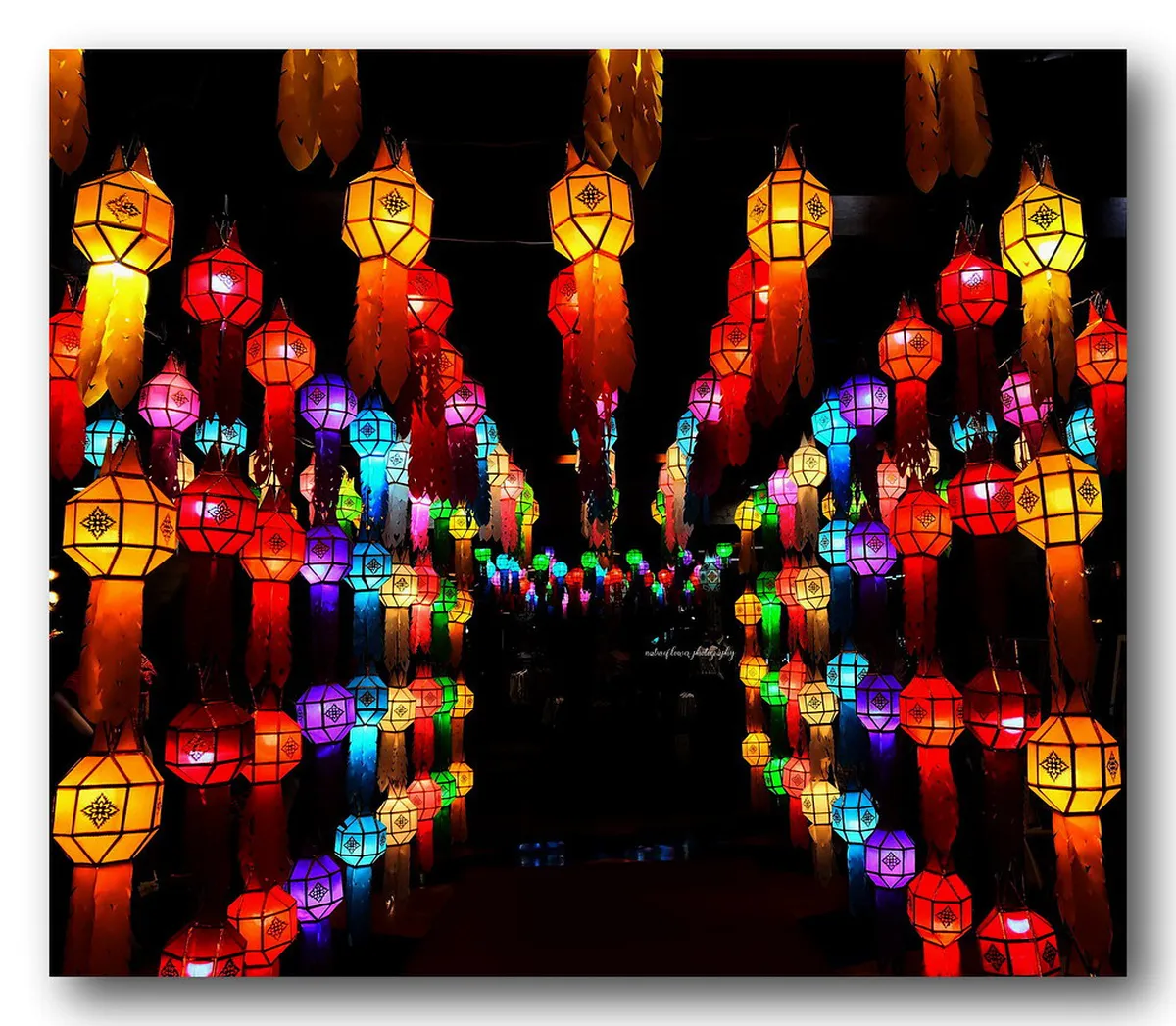 Northern Lights Festivals Bodø 2026: A Complete Guide