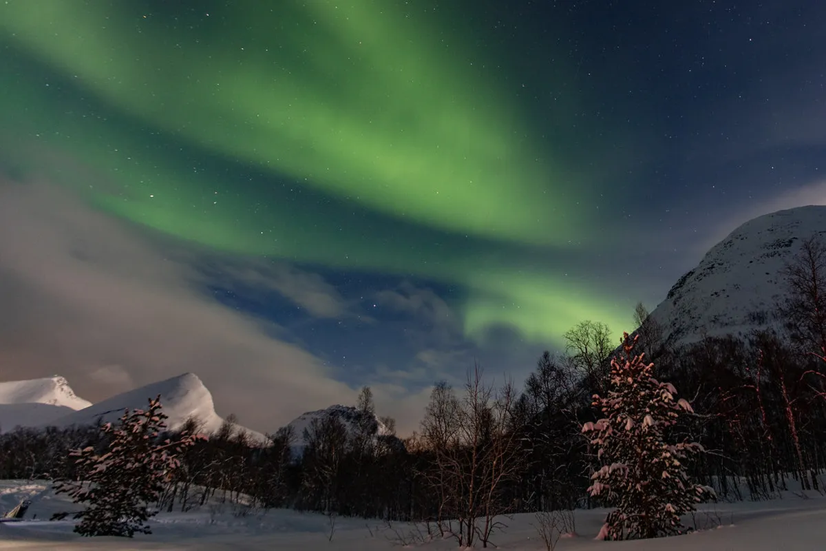 Best Sami Reindeer Experiences Near Bodø City Center