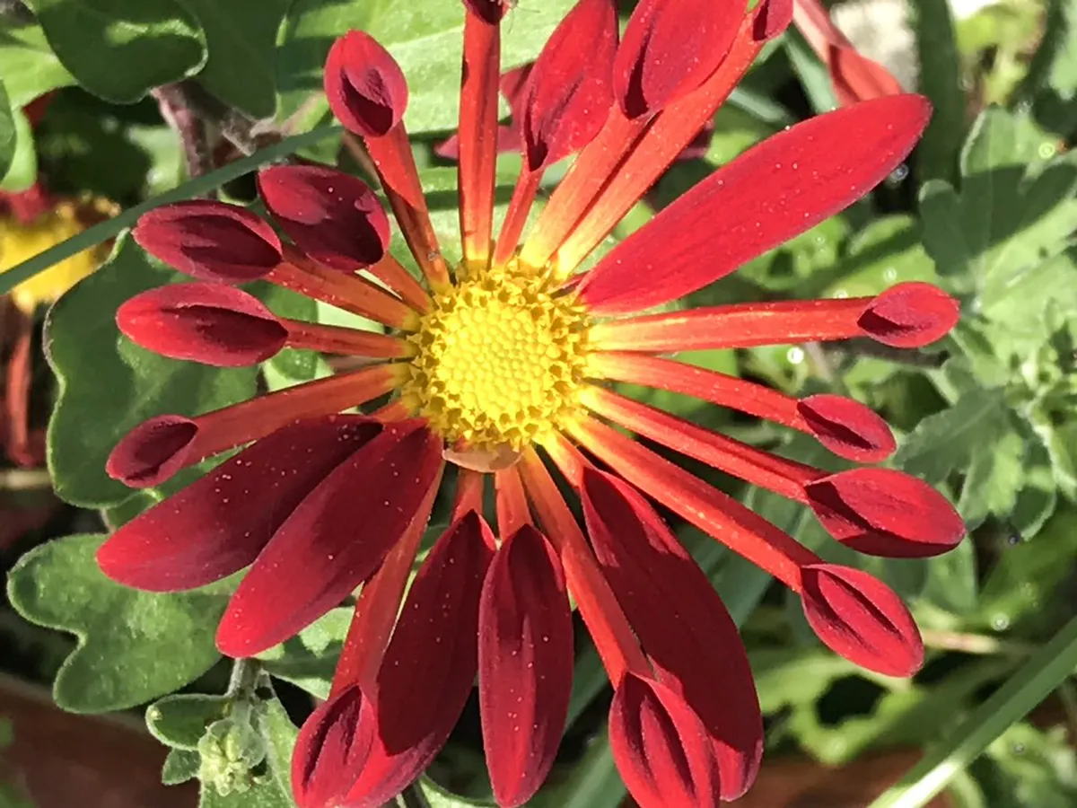 What to Wear for Northern Lights Festivals in Bodø