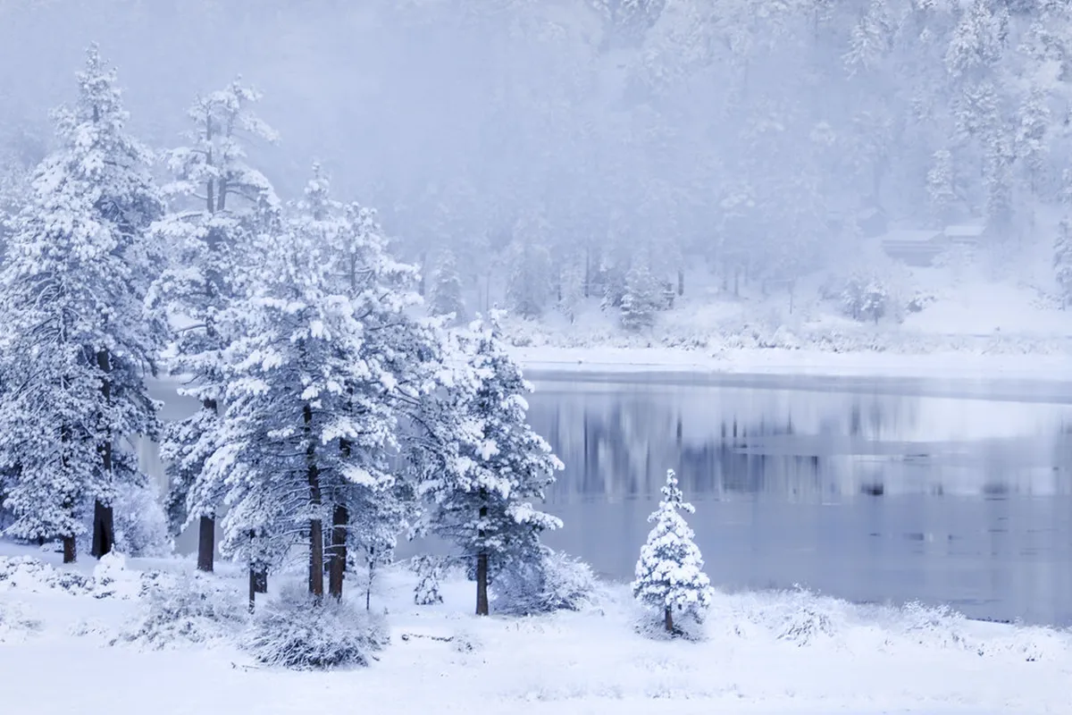 Winter Temperatures in Stavanger Norway 2026 Guide