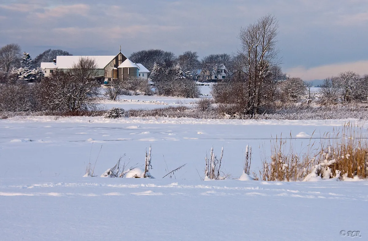 Stavanger Winter Food Festivals 2026 Guide