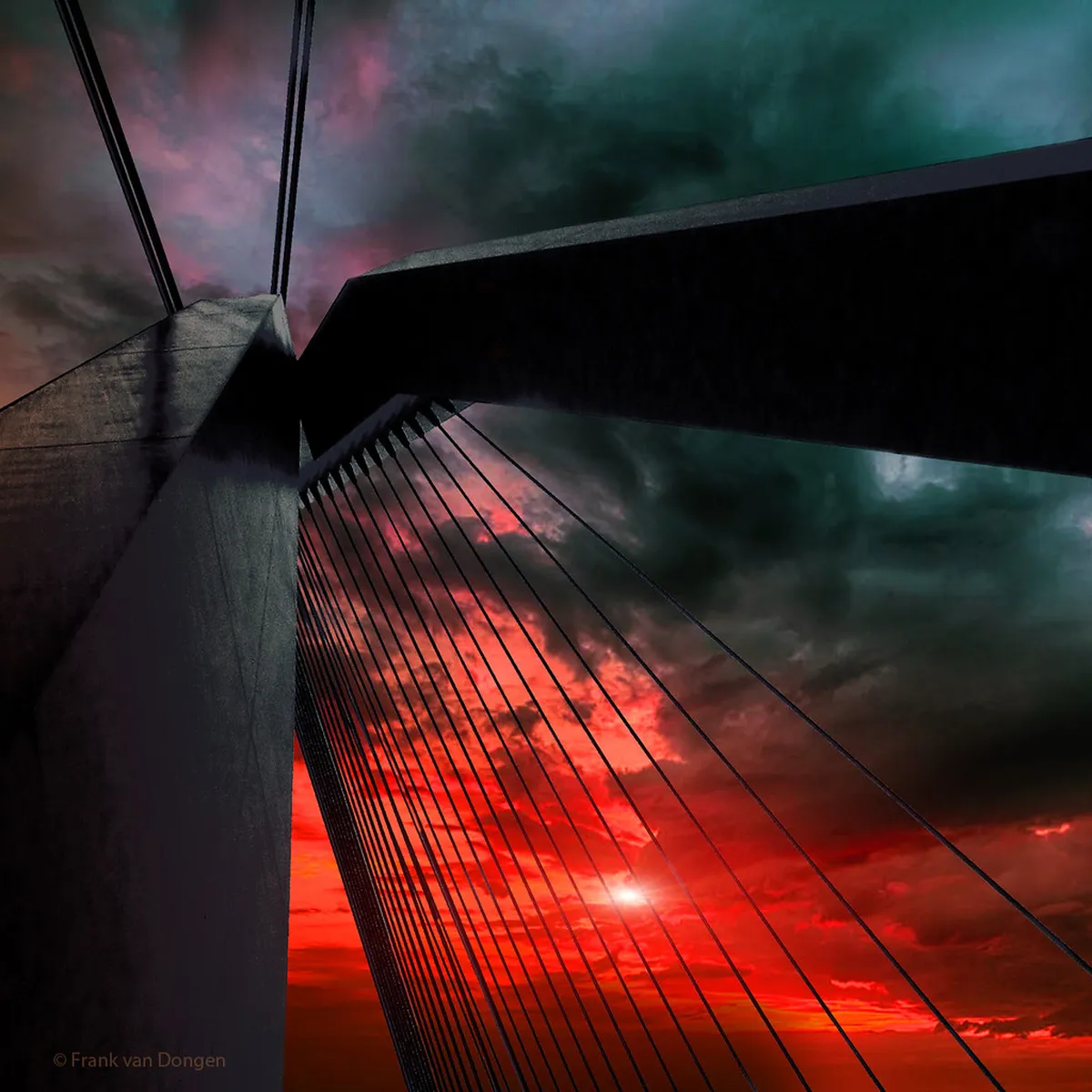 Best Northern Lights Tour Operators Tromsø 2026