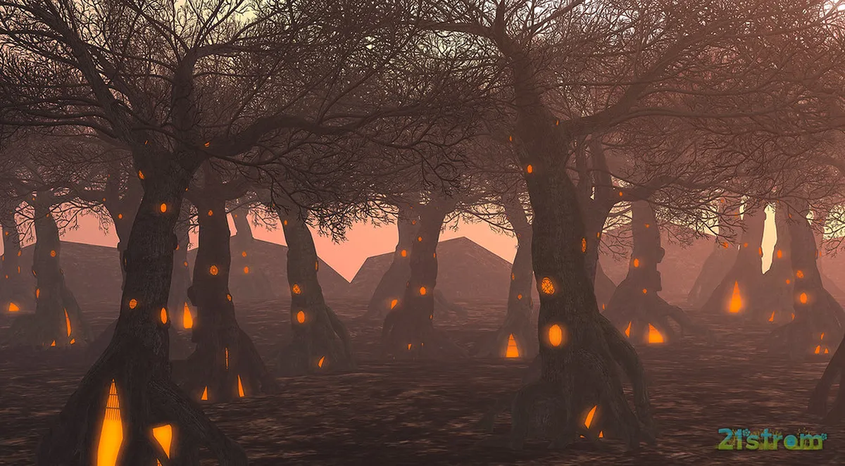 Tromsø Winter Markets and Shopping Guide 2026