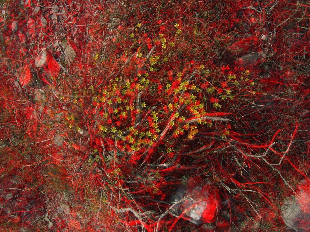 Where to Buy Winter Boots in Tromsø: 2026 Guide