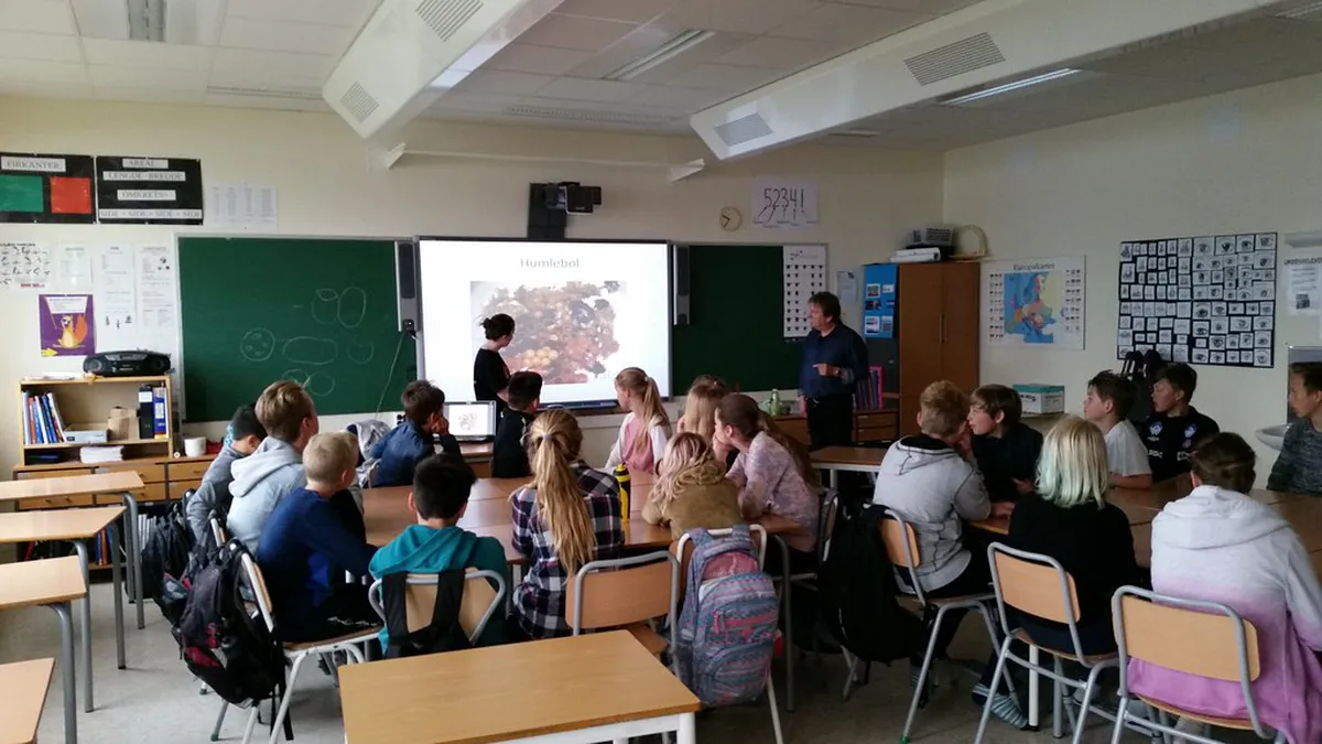 Best Indoor Museums in Trondheim for Winter 2026