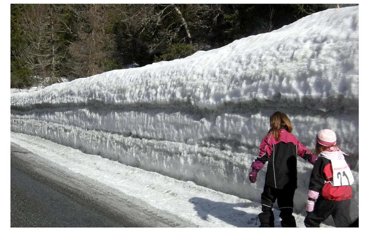 How to Get to Bymarka for Skiing: 2026 Guide