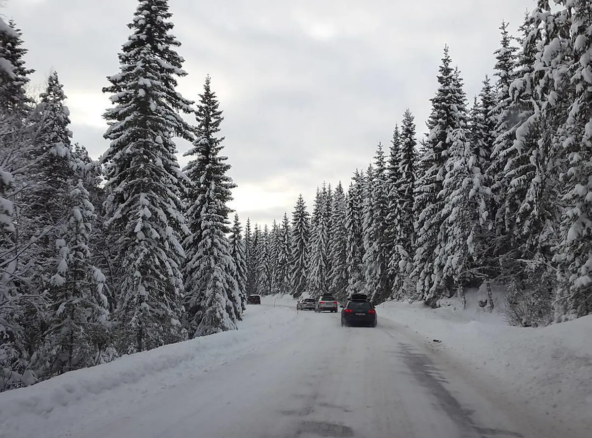 Vassfjellet Winter Park Skiing and Snowboarding Guide