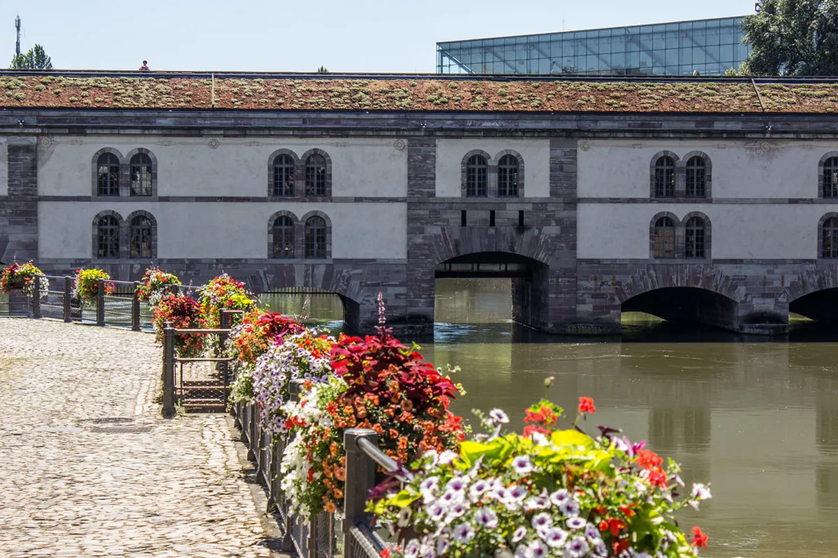 Free Museum Days in Basel Winter 2026 Guide