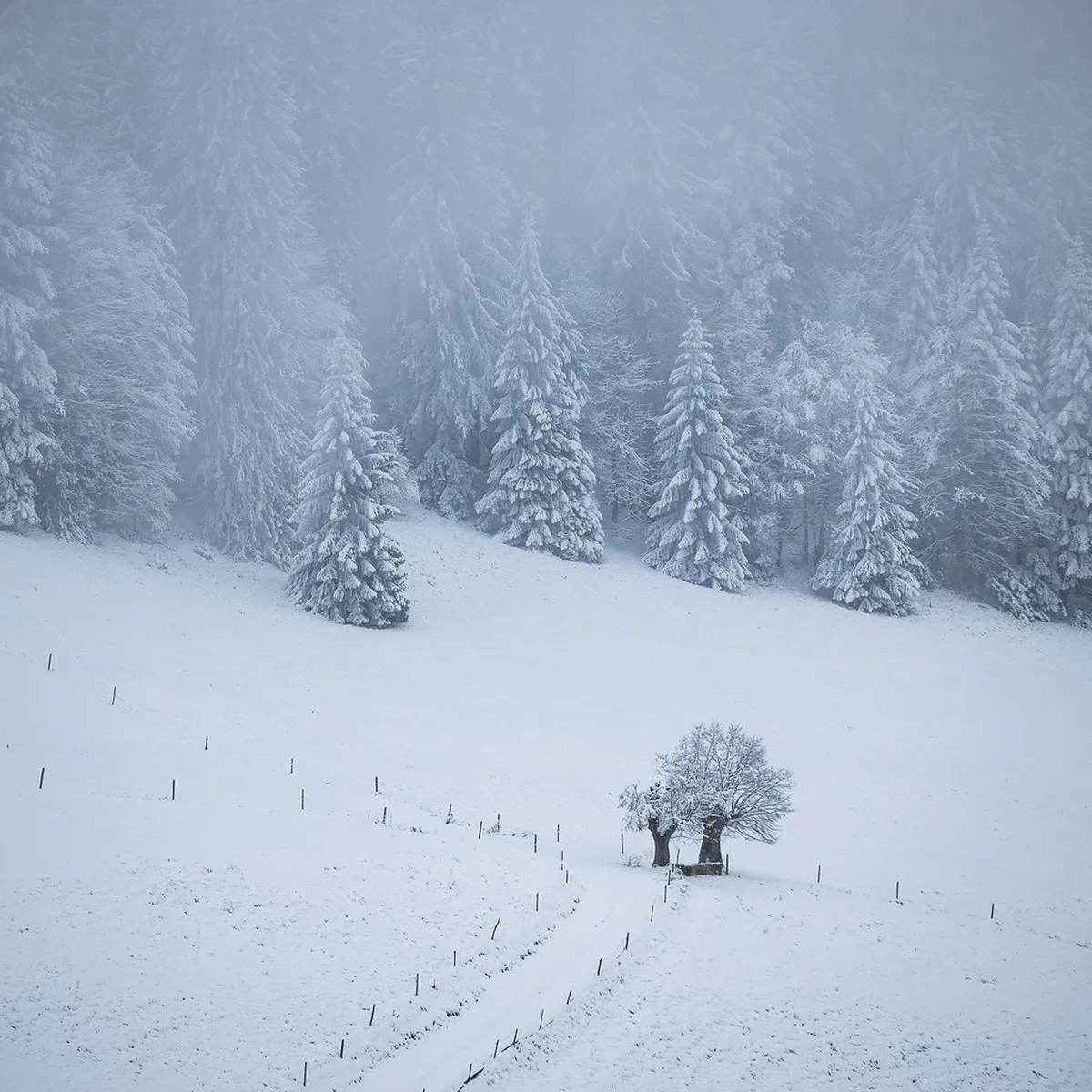 Where to Find Basel Christmas Market Mugs in 2026