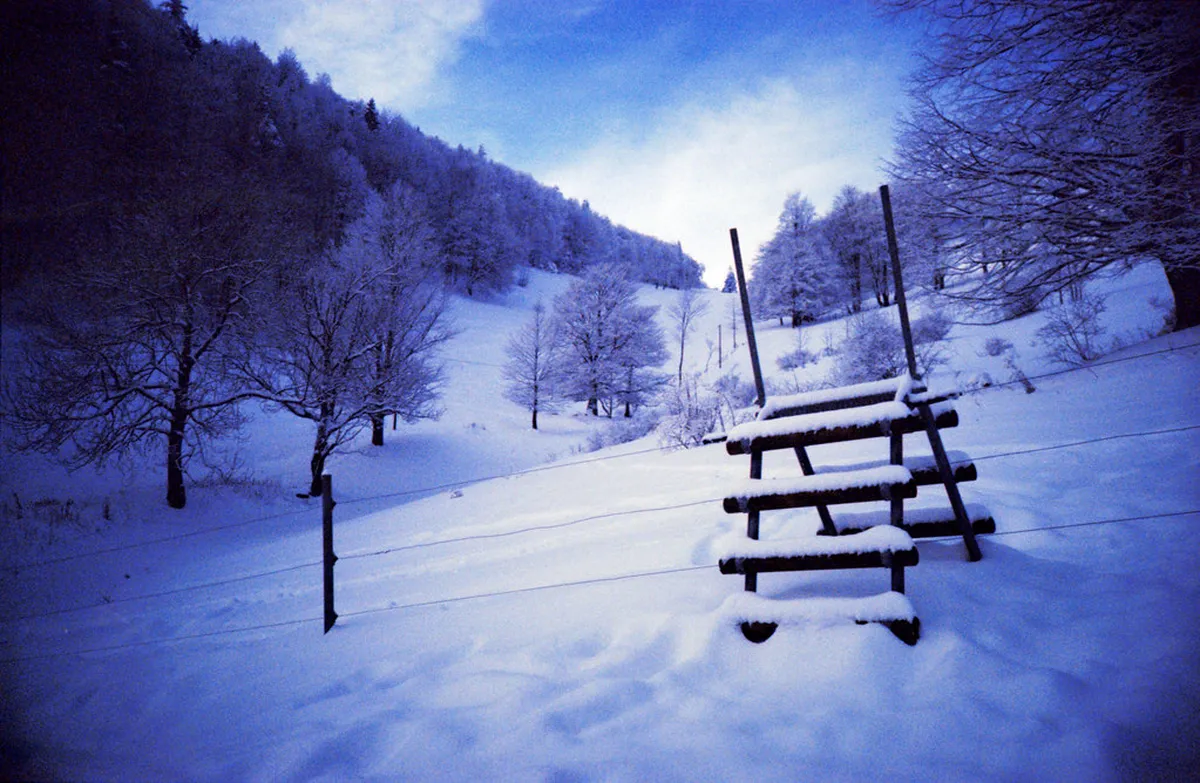 Best Winter Sports Near Basel 2026: Top 6 Day Trips